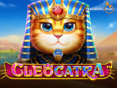 Kedi boyaması. Vavada resmi web sitesi girişi casino2023e çevrimiçi.5